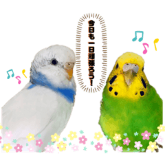 [LINEスタンプ] まめとおもち。時々くぅちゃん