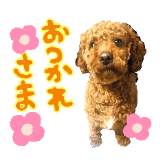 [LINEスタンプ] モコスタンプ(＾ω＾U)