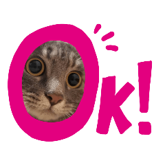 [LINEスタンプ] にゃんにゃーん。