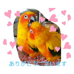 [LINEスタンプ] POPOLOVEⅡ