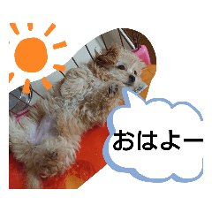 [LINEスタンプ] モコピー
