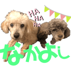[LINEスタンプ] ぷーくんあいちゃん