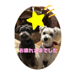 [LINEスタンプ] シュナ2