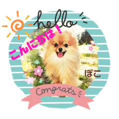[LINEスタンプ] ぽこはポメなの