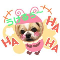 [LINEスタンプ] 愛犬れんくん