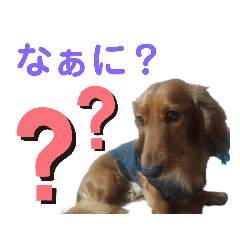 [LINEスタンプ] ダックス・BON5