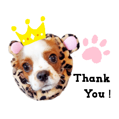 [LINEスタンプ] レオ★キャバリア
