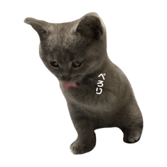 [LINEスタンプ] むたんぷ ①
