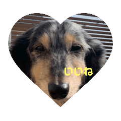 [LINEスタンプ] マーブルLINEスタンプ