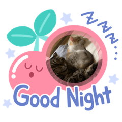 [LINEスタンプ] cuteanimal7777