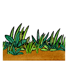 [LINEスタンプ] 草はえたwww