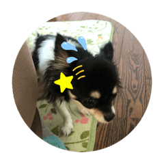 [LINEスタンプ] 新たに