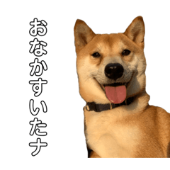 [LINEスタンプ] ぽんずとちび