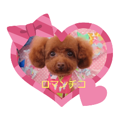 [LINEスタンプ] チコちゃん1歳