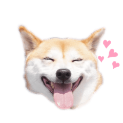 [LINEスタンプ] はるちゃんスタンプ✨