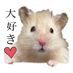 [LINEスタンプ] ハムスターのマロたん