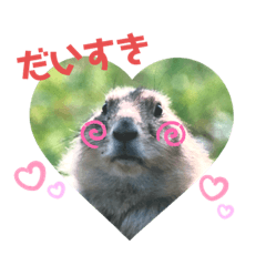 [LINEスタンプ] お気楽極楽プレーリードッグ