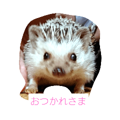 [LINEスタンプ] 針ネズミ1