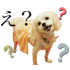 [LINEスタンプ] でかマルチーズのもな菓