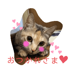 [LINEスタンプ] ハナとウランの日常