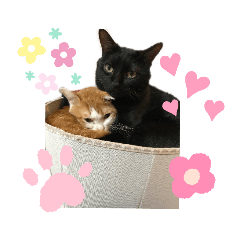 [LINEスタンプ] チビ＆モカ日常