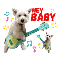 [LINEスタンプ] 白犬ウエスティのスタンプです④