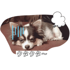 [LINEスタンプ] タクの日常パート2