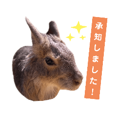 [LINEスタンプ] ていねいなマーラ 0