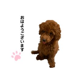 [LINEスタンプ] 北川てん