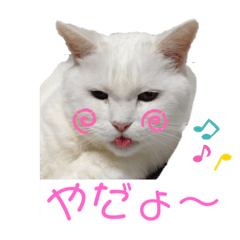 [LINEスタンプ] チビの2020