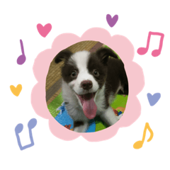 [LINEスタンプ] あいらぶチャーリー2