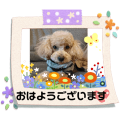 [LINEスタンプ] ケロバズ7