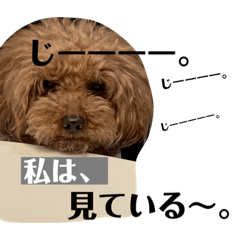 [LINEスタンプ] ここばにこてつ