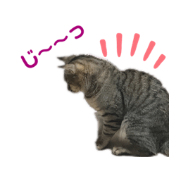 [LINEスタンプ] お空くんスタンプ