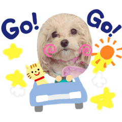 [LINEスタンプ] 愛しのもかたんたん