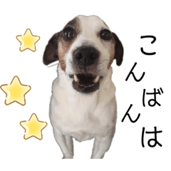 [LINEスタンプ] ジャックの天君  ①