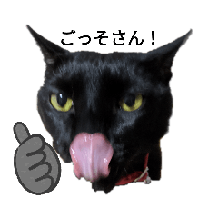 [LINEスタンプ] 中田家の猫2nd