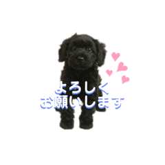 [LINEスタンプ] 焦げぷーティナ。