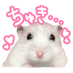 [LINEスタンプ] もぐ太スタンプ