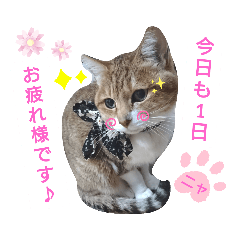 [LINEスタンプ] Yukinanamon♡
