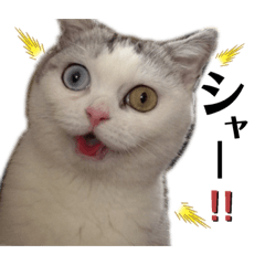 [LINEスタンプ] キラ姫