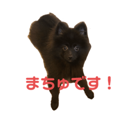 [LINEスタンプ] くろまつとみんちゃん