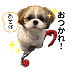 [LINEスタンプ] 小龍のふわふわスタンプ