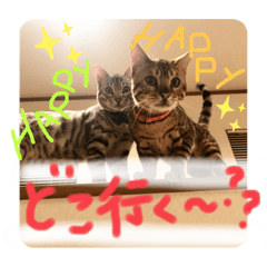 [LINEスタンプ] 茶々丸ハク