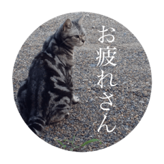 [LINEスタンプ] ばななちゃんのボヤキ。
