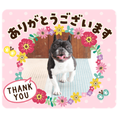 [LINEスタンプ] あゆむくん5