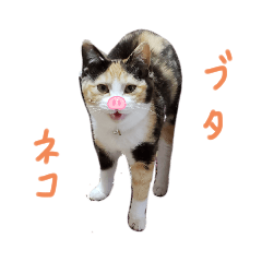 [LINEスタンプ] ツキヤヤ3