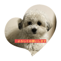 [LINEスタンプ] らくちんの