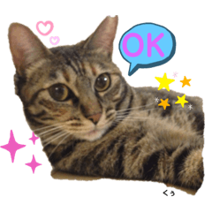 [LINEスタンプ] くぅちゃん＆メリー