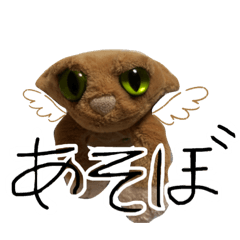 [LINEスタンプ] ねこさんのスタンプ【撮影者まいえむ】